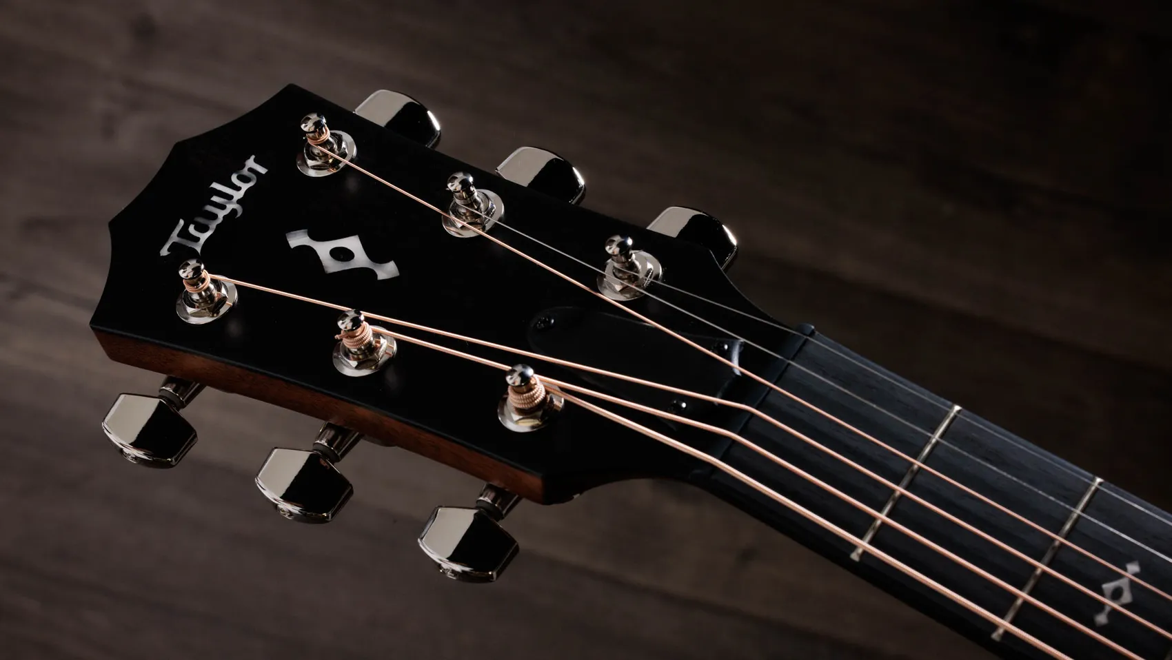 Next Generation 314ce Sapele Acoustic-Electric Guitar | Taylor Guitars